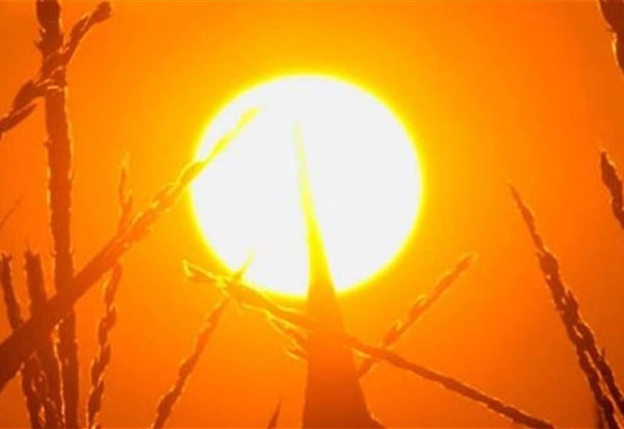 صورة المقال 1 في الرياضة